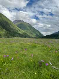 六月份四姑娘山最強攻略，雪山花海一站式全體驗