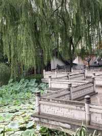 預警！！洛陽上陽宮嘅荷花下週正式開放！！