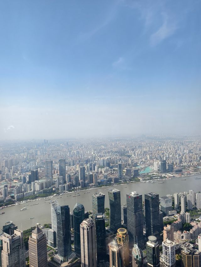 上海之巔打卡指南