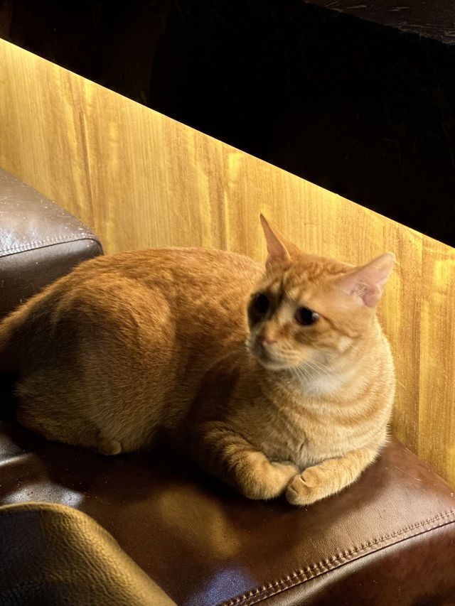 美食頻道私藏嘅深夜烏托邦