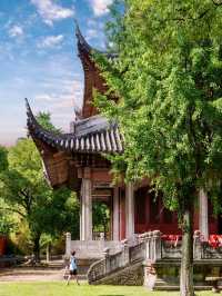 海寧鹽官｜潮聲與樂聲交織的千年江南秘境