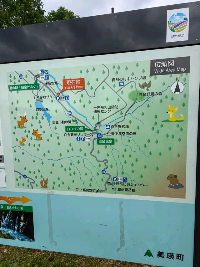 藍色的北海道白金青池