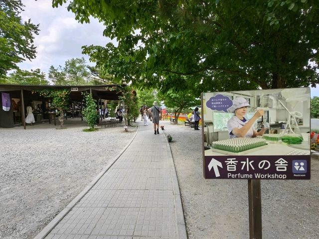 薰香滿滿富田農場