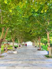 澳景藍灣近岸海景公寓黃金海岸店真係太吸引啦！