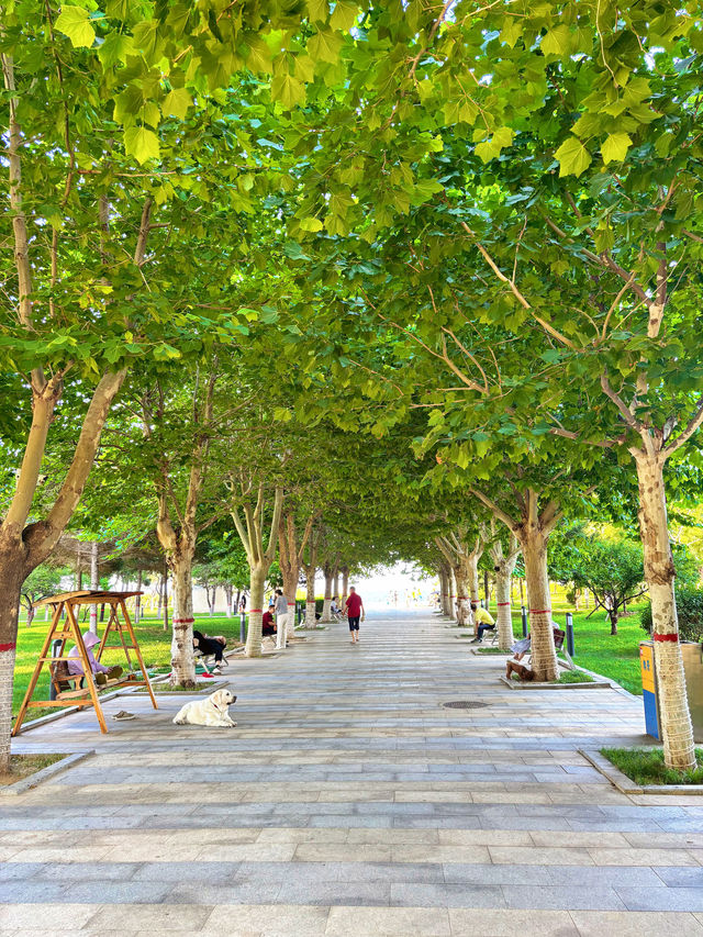 澳景藍灣近岸海景公寓黃金海岸店真係太吸引啦！