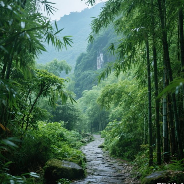 雅安峽谷避暑攻略