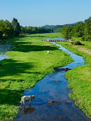 2 Hours from Wuhan: Discover "Little Yili" for Water Fun, Stream Trekking, and Grassland Views – Your Ultimate Summer Escape Guide!