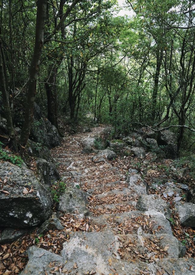 昆明周邊｜神秘石頭寨 阿詩瑪起源地 探秘