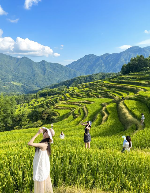 雲和梯田：雲端上的千層天梯 