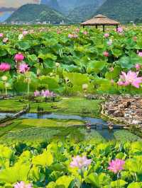 人間瑤池」普者黑｜《三生三世》取景地，我搵到神仙住嘅地方！