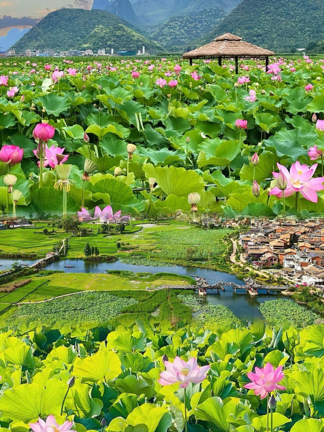 人間瑤池」普者黑｜《三生三世》取景地，我搵到神仙住嘅地方！