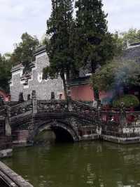 竹海禪境，梁平綠韻