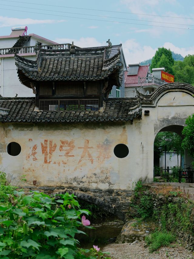 750年徽派暴擊！芹川古村嘅石斑魚銀河，全家玩到腳軟