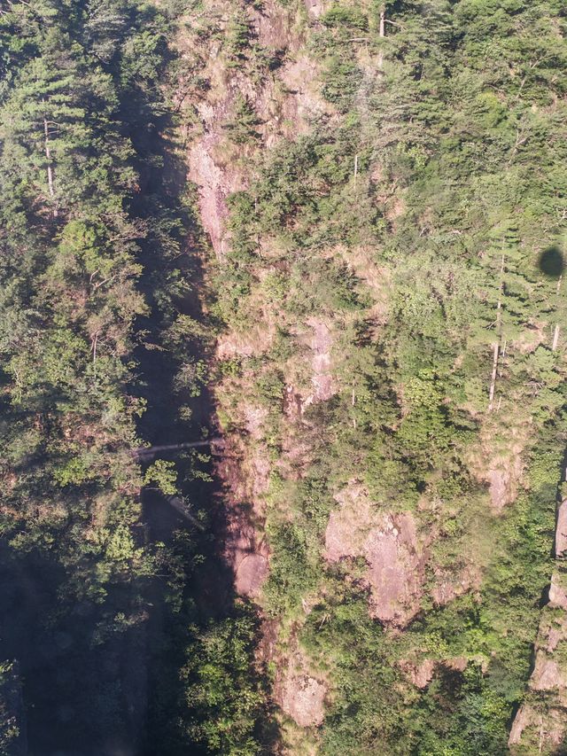雲谷索道——於雲端，邂逅黃山的詩意靈魂