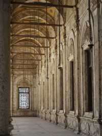 在埃及，被人類奇蹟震撼了10000次。