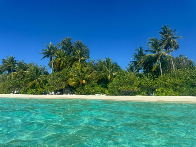 A Perfectly Relaxing Safari Island Getaway