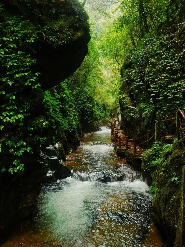 小眾秘境 | 玉溪石門峽深度遊玩攻略：解鎖哀牢山的清幽與壯闊