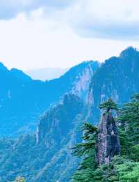 黃山懶人攻略｜後山上前山下！新手友好路線 看遍精華還不累