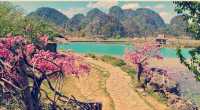 雲南普者黑 | 三生三世十里桃花同款打卡地必看避坑攻略！