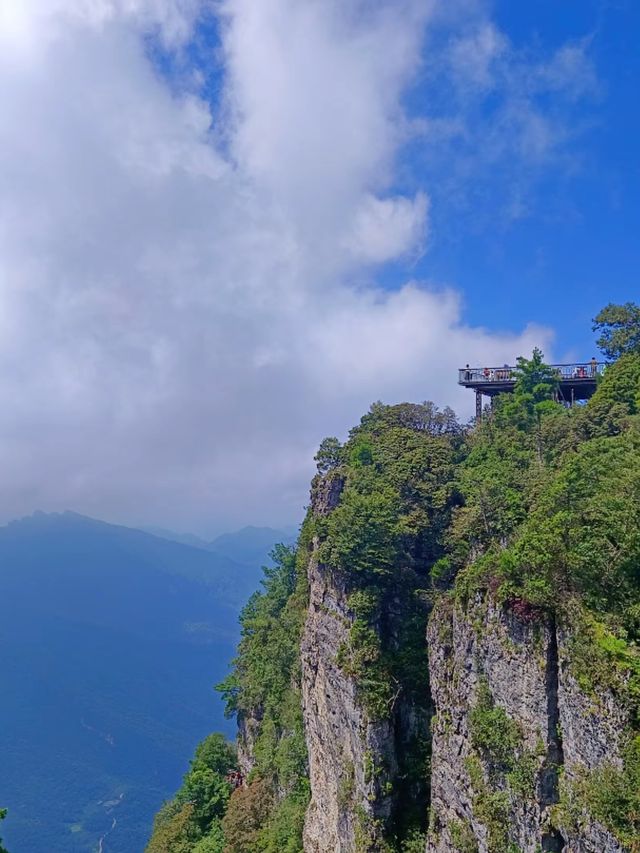 雲巔仙境漫步記
