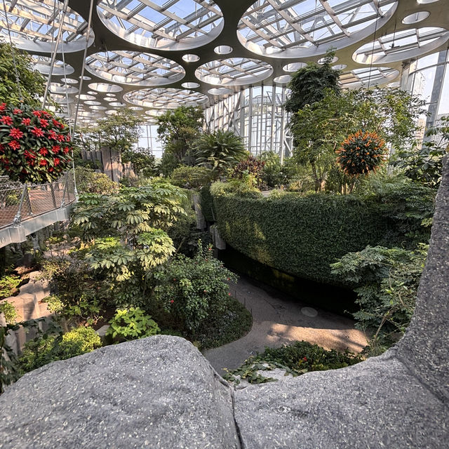 【上海】上海温室花園🪴｜写真映え×自然癒し×屋内観光にぴったり！