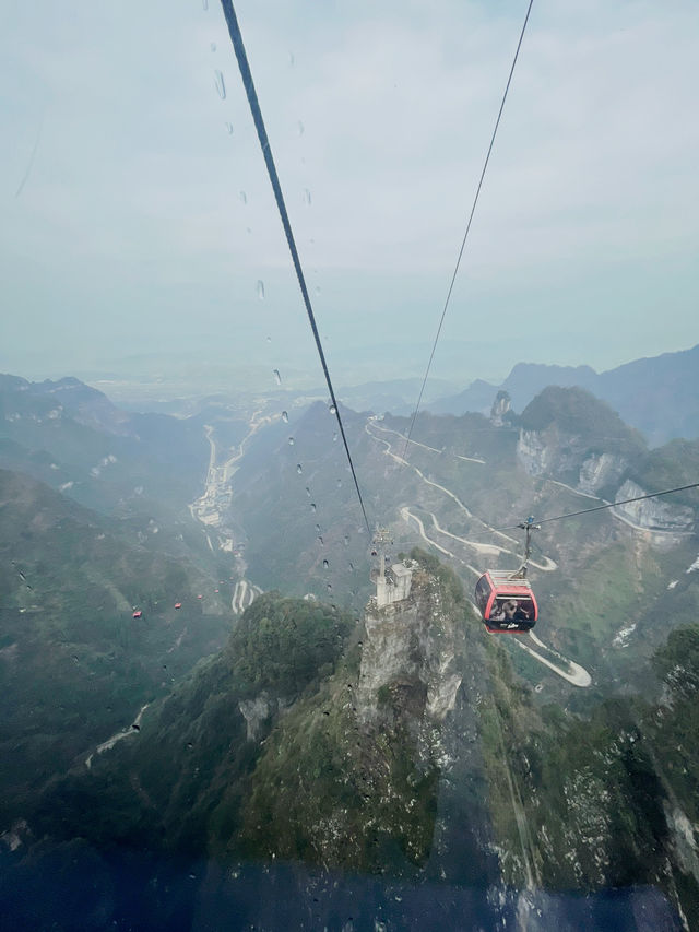 Tianmen Snow Guide🗻