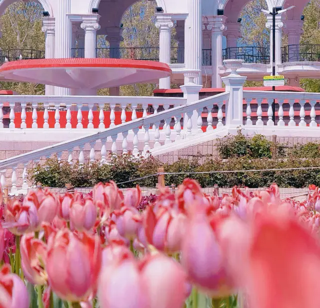 A must-visit in Beijing, check in at Chaoyang Park for spring!