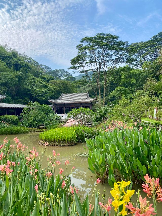 白雲山雨季私藏路線