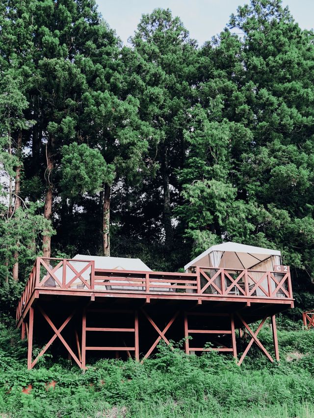 星空下的野奢體驗｜千葉Glamping營地全攻略