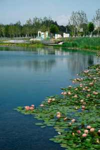 百泉鴛水：在千年泉韻中邂逅時光​