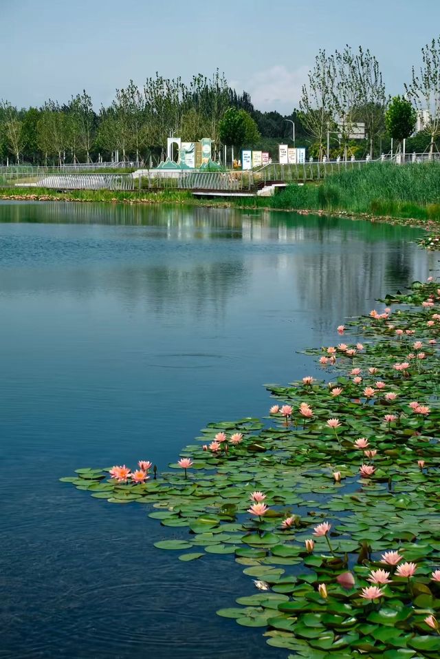 百泉鴛水：在千年泉韻中邂逅時光​