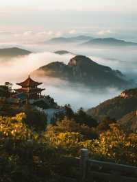 蜀南竹海秋天變身童話世界！這個竹林秘境美得不像話
