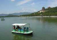 華北秘境衡水湖觀鳥指南,速存!