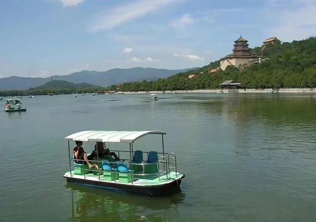 華北秘境衡水湖觀鳥指南,速存! 華北秘境衡水湖觀鳥指南,速存!