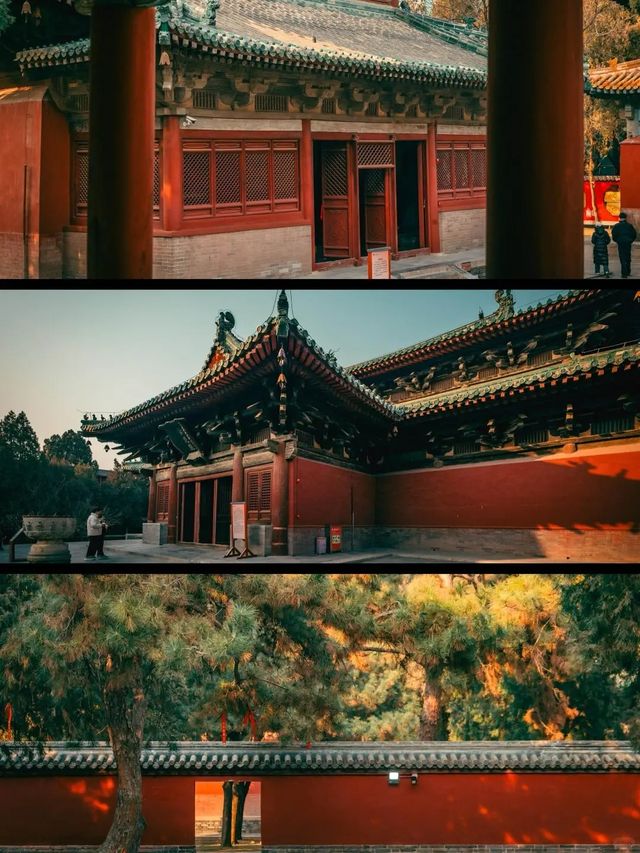 躺平也能玩轉石家莊？這家酒店做到了