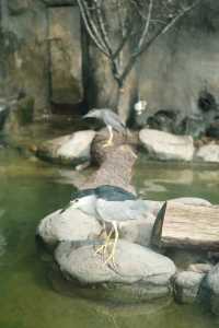 錯峰逛動物園太有感覺了