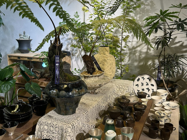 🌿 深圳花卉市場｜與植物來場浪漫的近距離約會 🌸