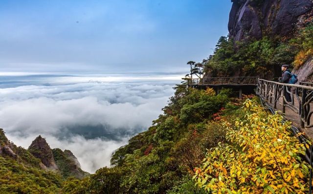 三清山重陽周免票，長輩享仙山雲海遊
