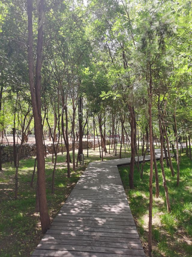 平陽湖遊玩大揭秘！風景竟藏在這