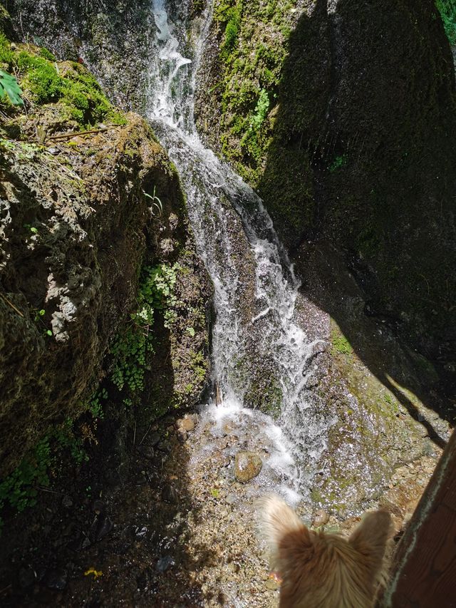 平陽湖遊玩大揭秘！風景竟藏在這