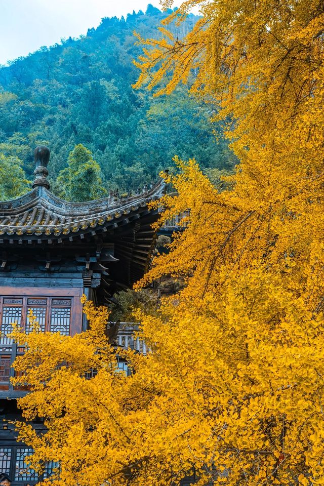 古觀音寺位於陝西省西安市長安區東大街道羅漢洞村，是一座歷史悠久的千年古剎。
歷史淵源
古觀音寺始建於