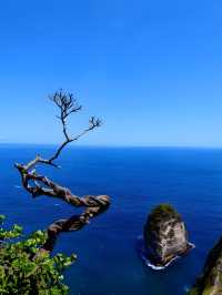海邊的異域星球