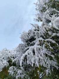 初雪降臨東鄉族自治縣｜在鎖南壩遇見最純淨的雪景