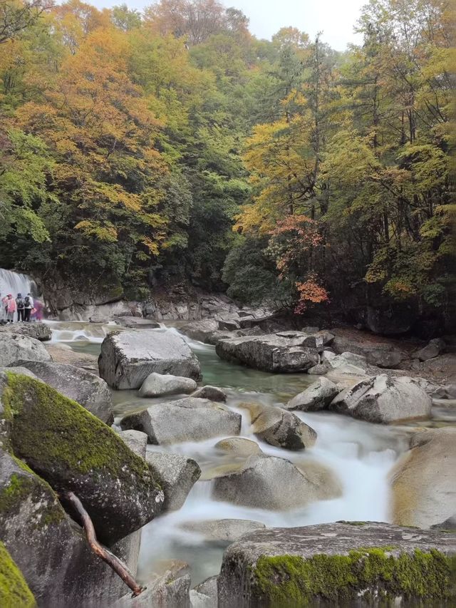 黑熊溝秋日私藏路線