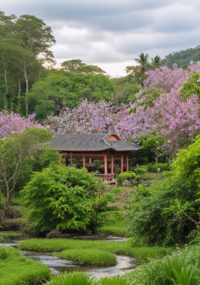 【大鐘山公園超全旅行攻略】闖入賀州「城市綠肺」! 【大鐘山公園超全旅行攻略】闖入賀州「城市綠肺」!