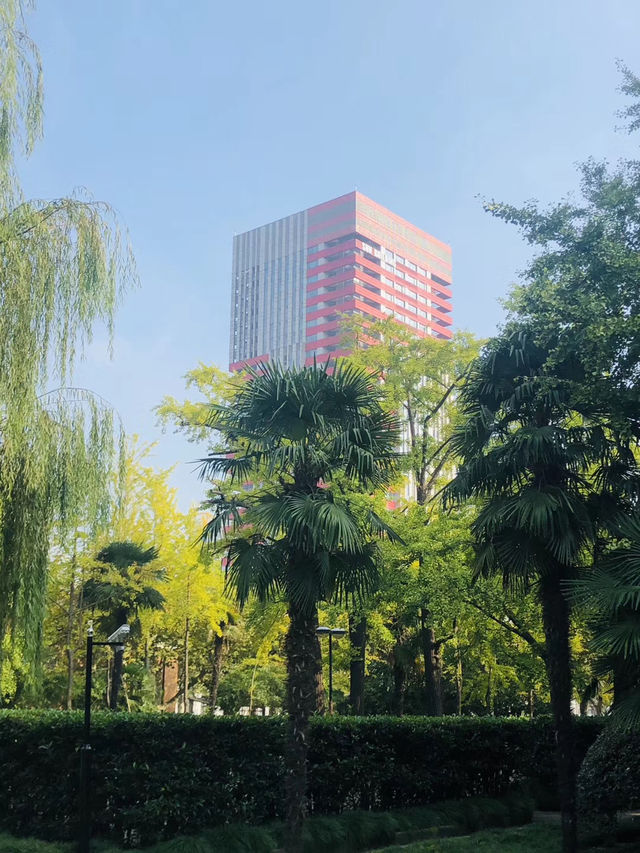 探秘上海華東師範大學普陀校區，邂逅百年學府的詩意與浪漫！