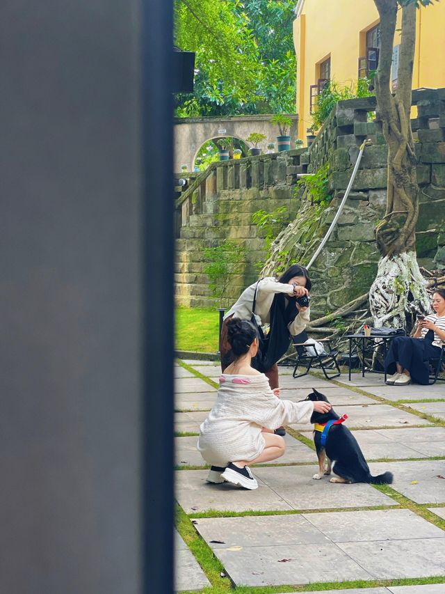 重慶最出片的休閒徒步道 重慶最出片的休閒徒步道