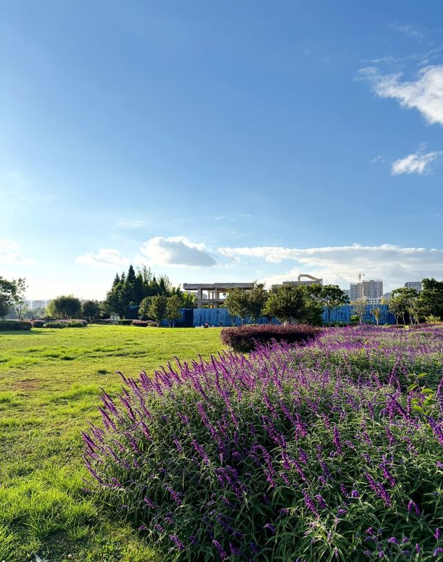 昆明小眾秘境!瑞士園公園拍婚紗照也太絕了吧 昆明小眾秘境!瑞士園公園拍婚紗照也太絕了吧