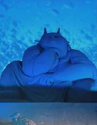 駱馬湖7天玩透本地人私藏玩法