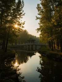 帶娃玩轉濱州淄博！4天行程超省心